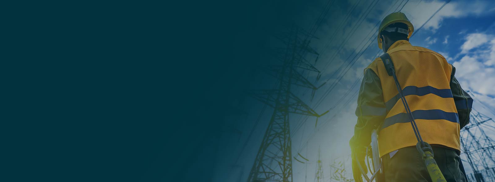 Training, Advisory & Compliance Specialists