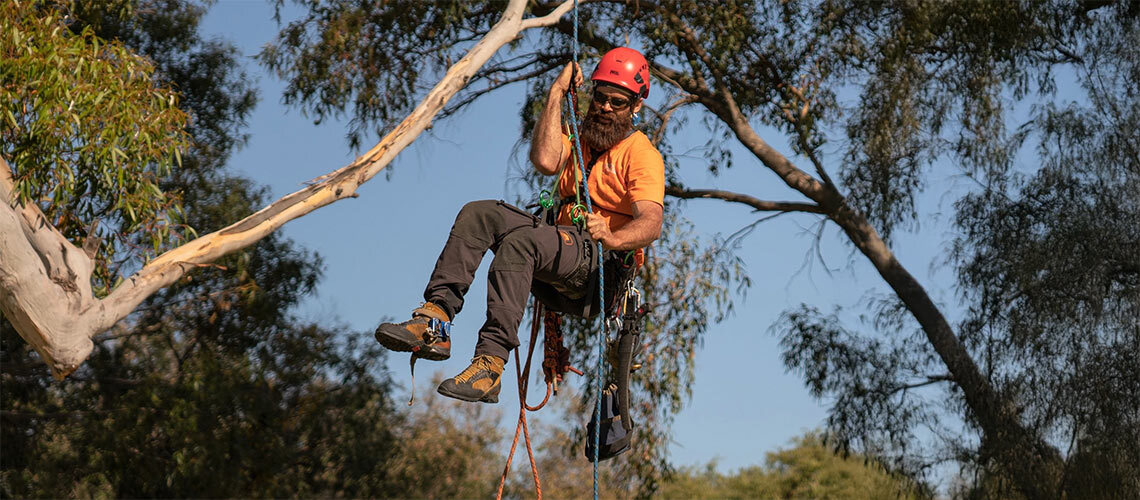 Arborist 2025