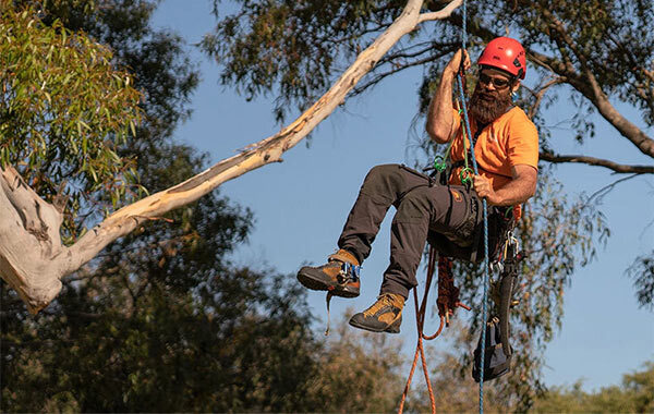Vegetation Management
